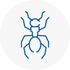 Ant Removals In Dover