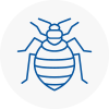 Bed Bug Extermination In Dover