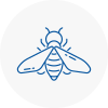 Bee Nest Removal Dover