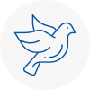 Bird Prevention Dover