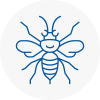 Dover Hornet Nest Removals