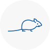 Mice Exterminators In Dover