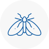 Moth Control Specialists In Dover