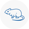 Rat Control Dover