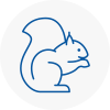 Dover Rodent Removals