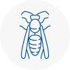 Dover Wasp Nest Removal